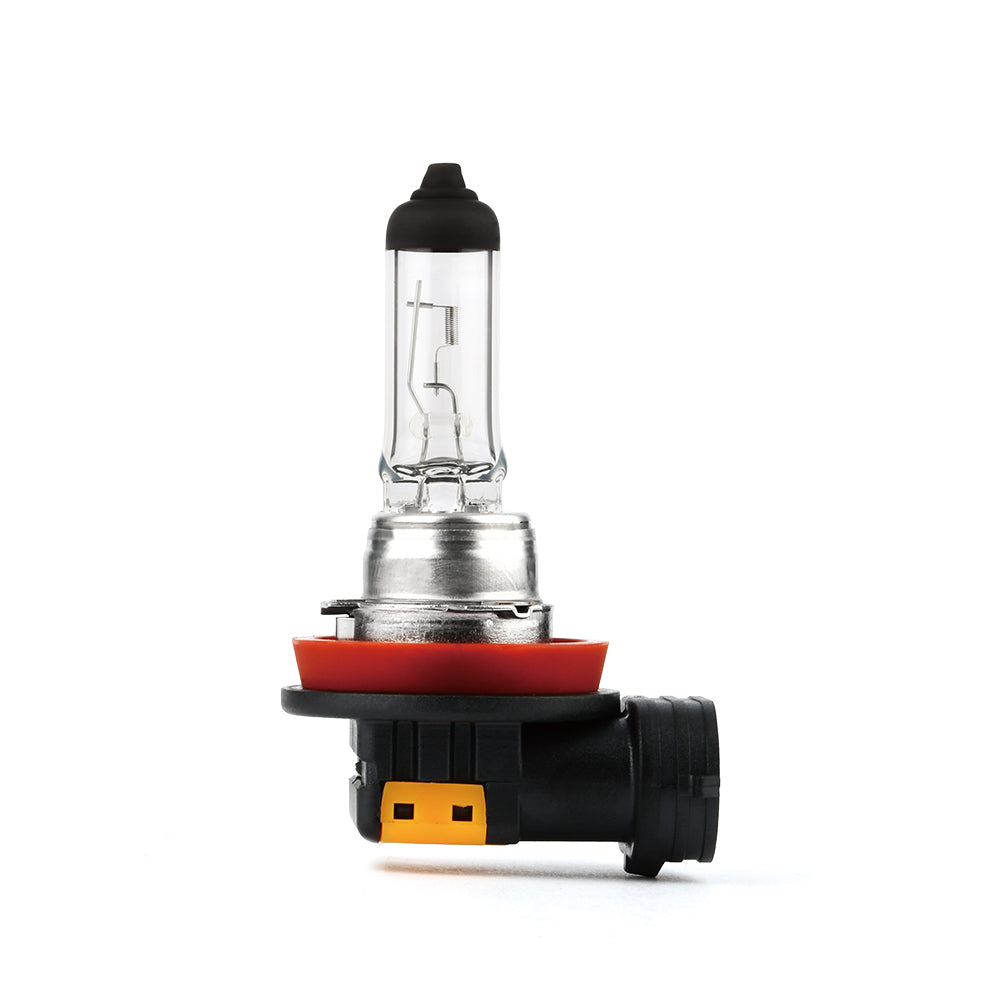 H8 Halogen Bulb (1Pcs)