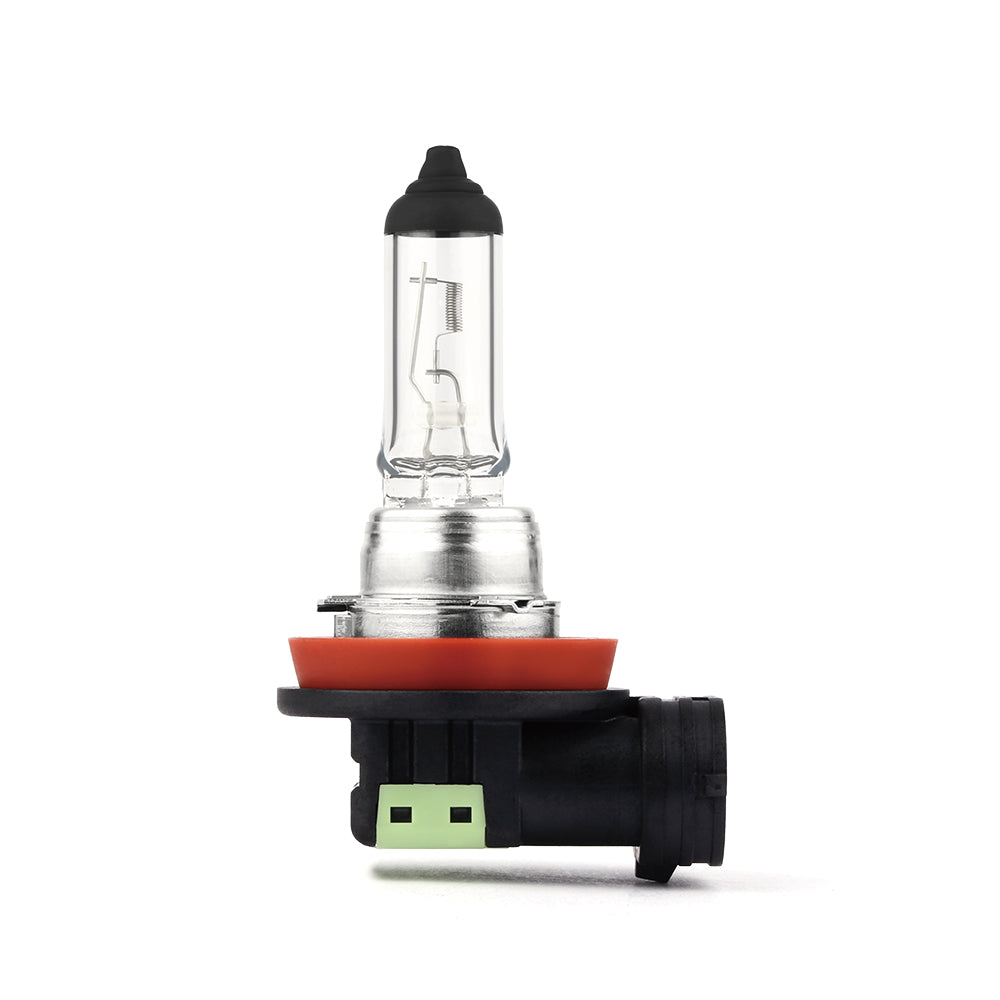 H11 Halogen Bulb (1Pcs)