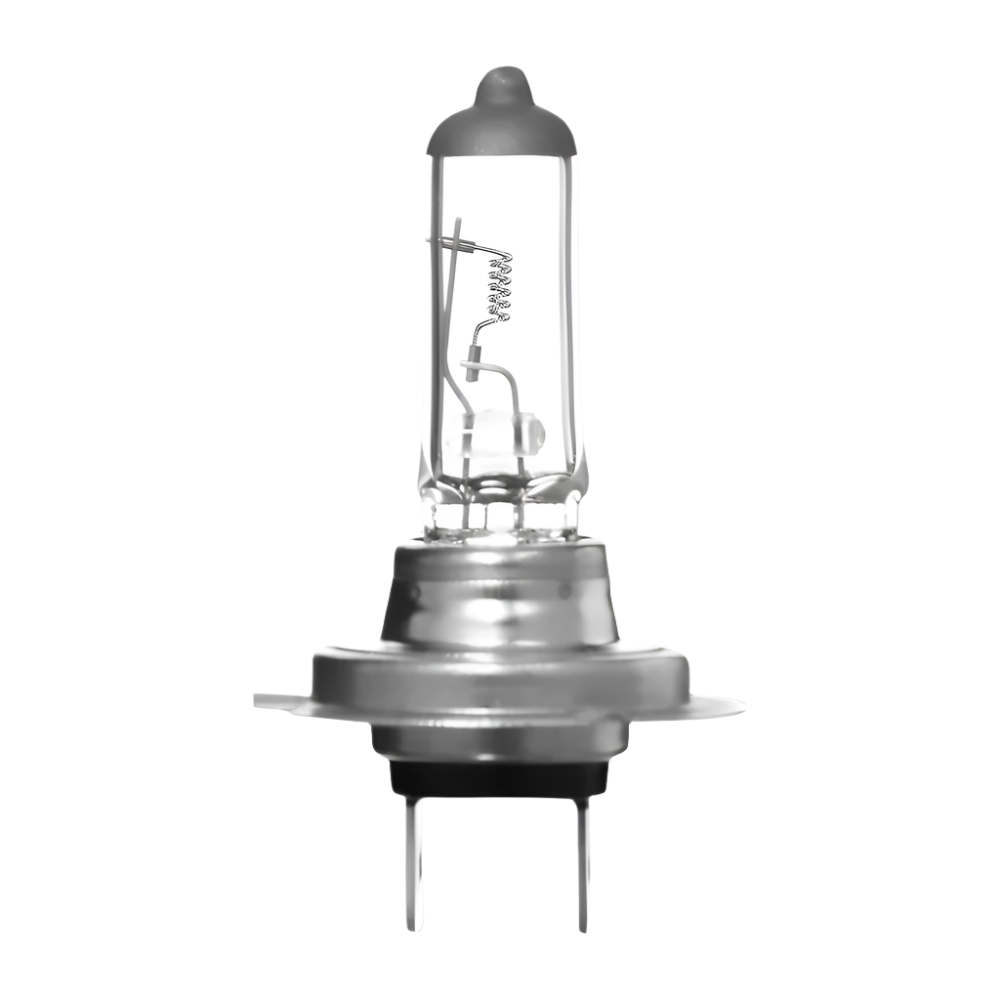 H7 Halogen Bulb (1Pcs)